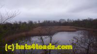 /home//u458753944/public_html/sourcegallery//Roxborough Toad Detour/2013-2019/2013/2013-04-18/P1120175.JPG